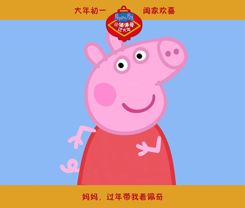 办理假爱尔兰护照扫描件
